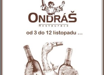 Svatomartinské husí hody Svatomartinské husí hody