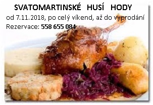 TRADIČNÍ HUSÍ HODY TRADIČNÍ HUSÍ HODY