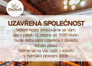 Ples 13. března 2026